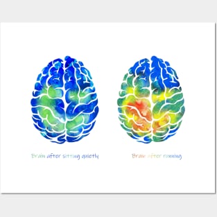 Brain Posters and Art